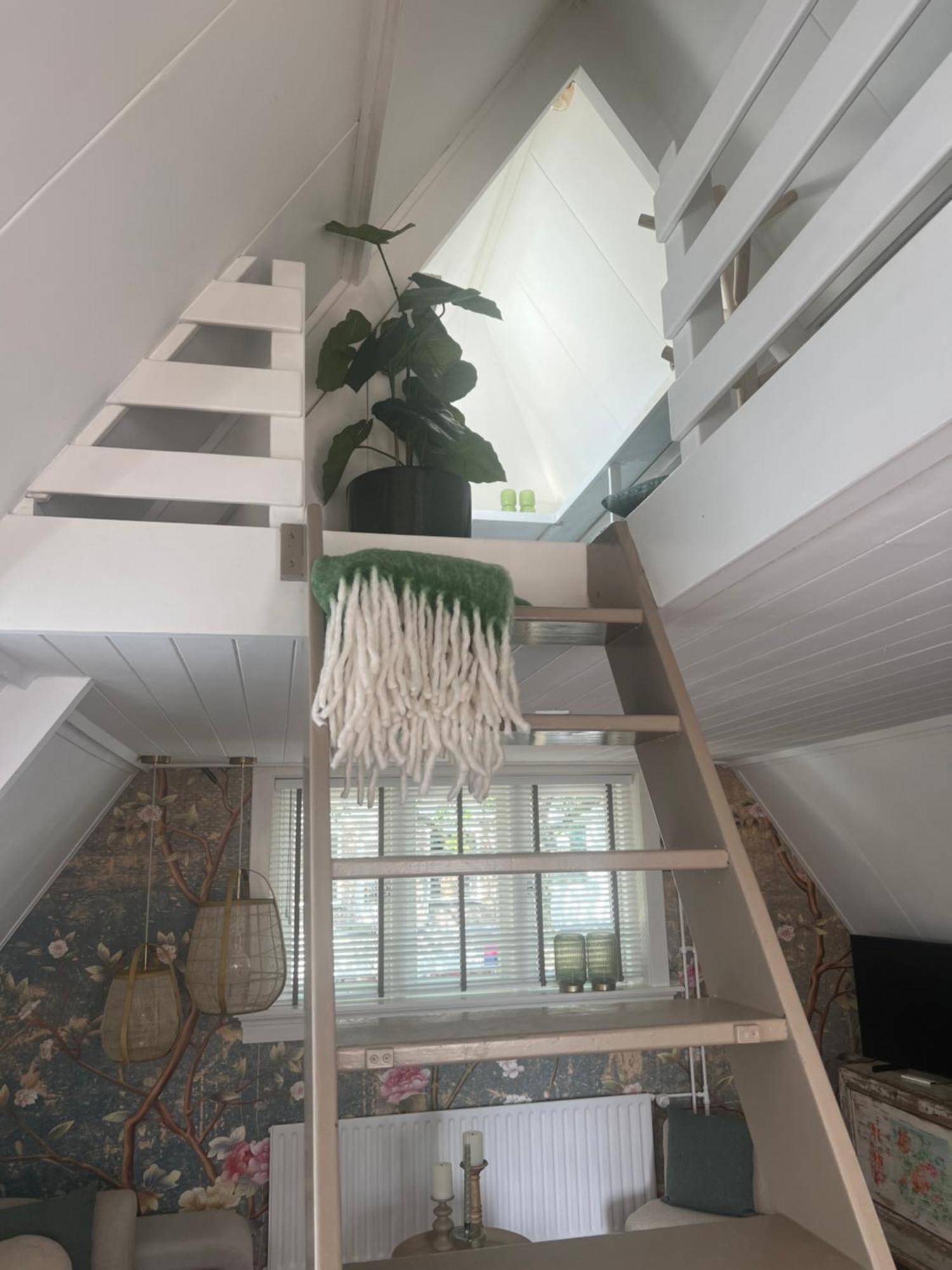 Hartje Bergen Appartement Buitenkant foto
